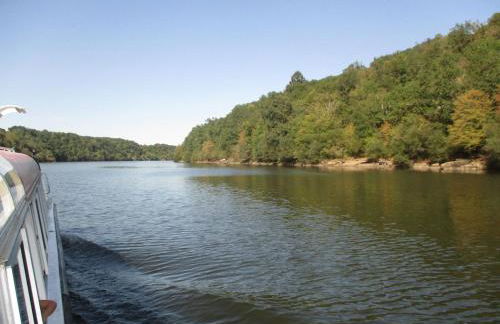 Gite de la foret - Foto 29