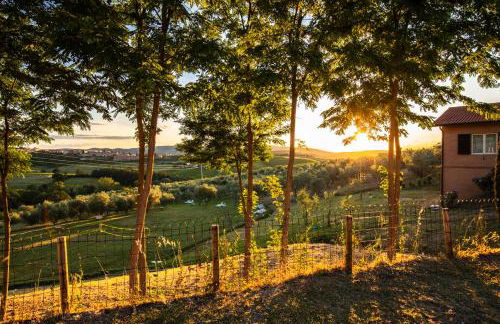 Agriturismo Il Sambuco - Foto 7