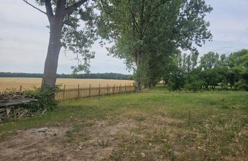 Almazówka - cichy wypoczynek lub integracja w większym gronie - Foto 29