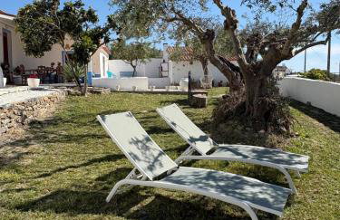 Canto da Planície - Photo 60