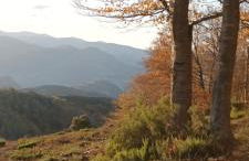 Anguiano Habitaciones rurales con baño privado - Foto 19