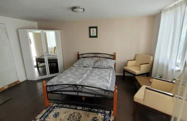 Haus Evelynchen Apartment 1 Deutschhof - Photo 10