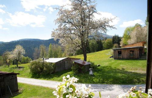 Landhof Steinhütte - Foto 8
