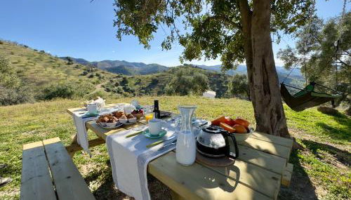 Los Campos Casa Rural - Foto 3, Garden