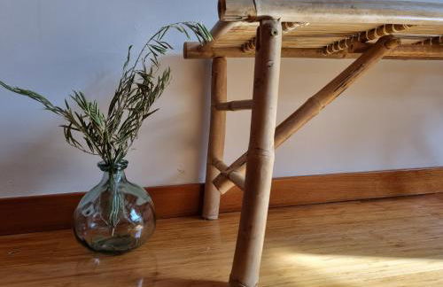 Salamanca Rentals - Apartamento con terraza a 1 minuto de la Plaza Mayor - Foto 42