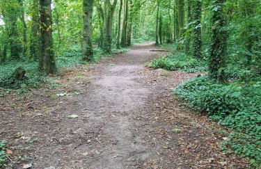 Stone's throw from beach and forest, stunning country walks - Foto 27