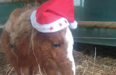 Sondela Self Catering - Foto 58