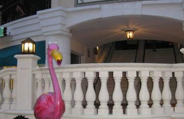 My lovely home in Miami 15 minutes from the Beach - Foto 12