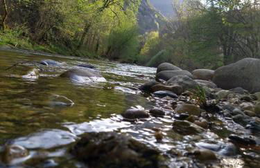 Hotel Rural Reciegos Complejo Agroturistico - Foto 37