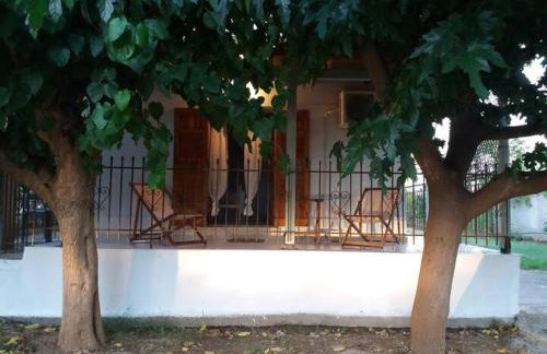 The happy scarecrows - Foto 1