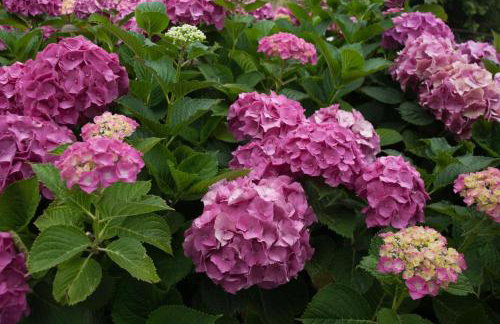 Villa Zina Agios Dimitrios - Foto 17