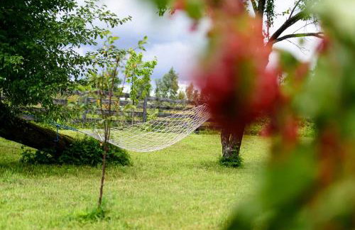 Zakątek Szczęścia Eko Agroturystyka - Foto 67