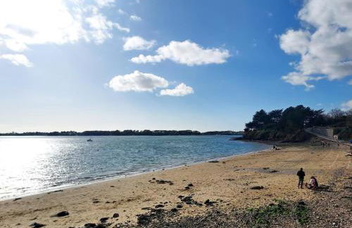 Des chevreuils - Photo 20