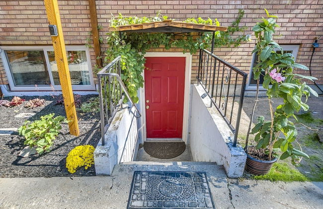 Red Ivy #4 - Foto 26