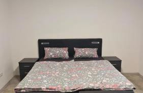 Urlaub am Rhein Speyer Hockenheim Mannheim - Photo 17