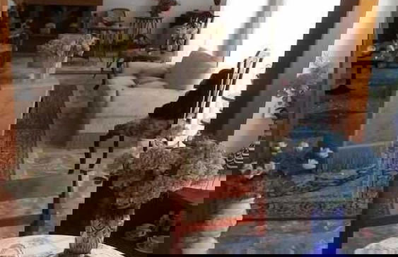 Spacious House - Foto 18