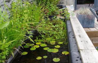 Superbe Maison en baie du Mont St Michel - Foto 16