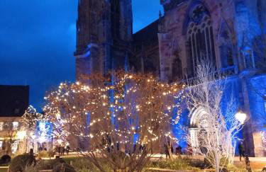 Maison proche du centre de Colmar - Chez Michel - Foto 17