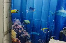 Picon Homey - Foto 22