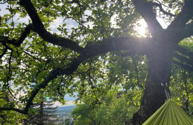 EMI2 Modern Apartment Free Parking Near Swiss Border - Foto 45