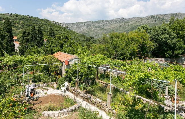 Guest House Zaton - Foto 23