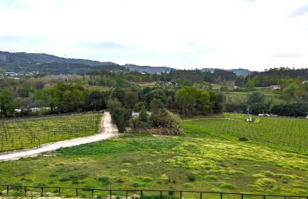 Quinta do Burgo - Nature Hotel - Foto 31