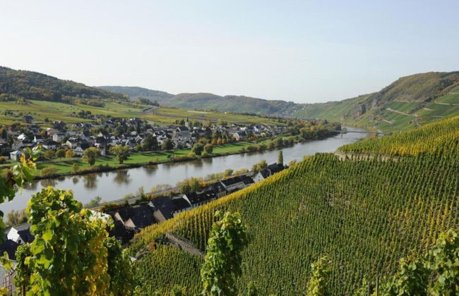 Vineyard View Romantic Stay - Foto 23