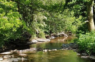 Old Bake House Cottage @ Cwm Mill - Photo 29