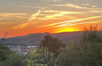 Schön Hier - im Harz - Foto 35