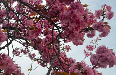 Ferienwohnung Express - Foto 14