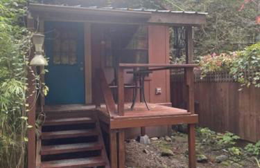 Mystic Ivy - Foto 13