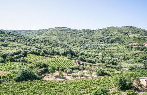 Le Case nel Vitigno - Modolo - Foto 9