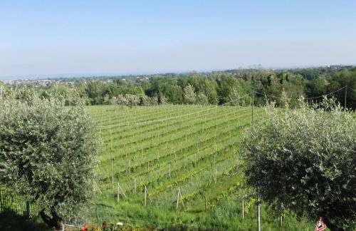 Villa Paradiso - Foto 23