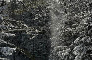 New! Designer 3BR Cabin Walk to Pond Mtn Views - Foto 47