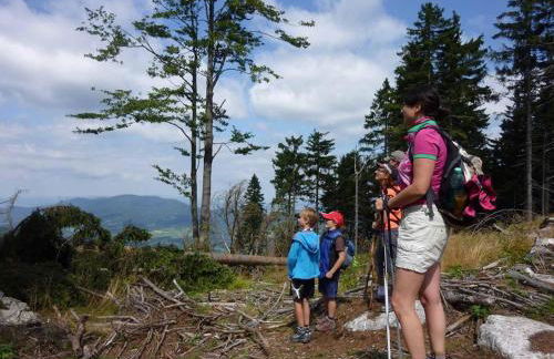 Ferienhaus Hornauer - Foto 24