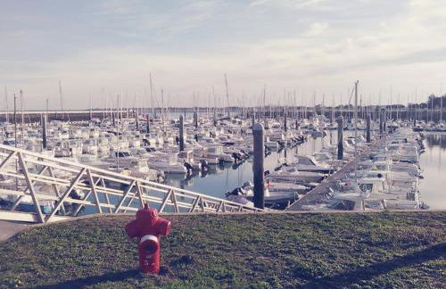 La maison du facteur - Foto 22