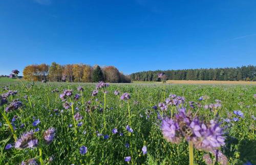 Ferienwohnung Härtel - Foto 19