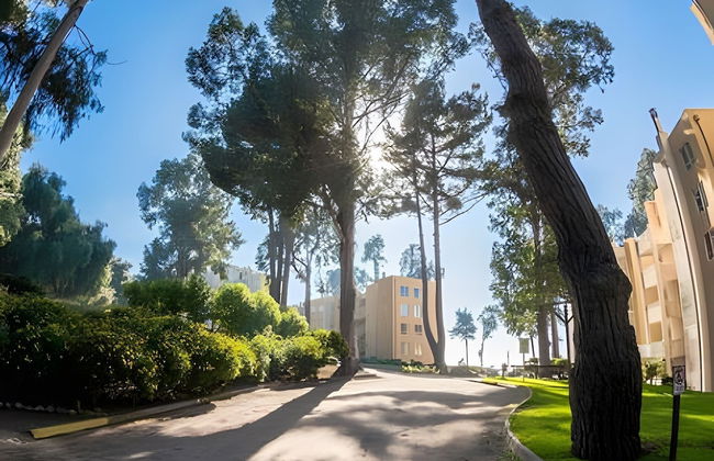 Oceana Suites Bahía Pelicanos - Foto 64