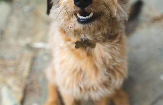 Agriturismo Le Fonti - Foto 27