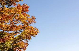 Charming Cabin Rental Perfect for an Adirondack Getaway - Foto 30