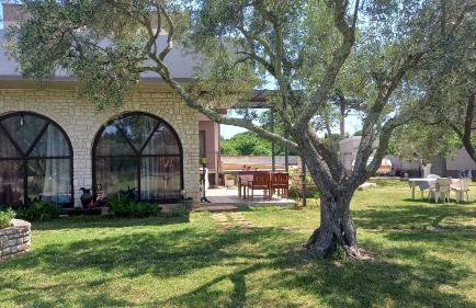 Olive Garden 2 - Foto 10