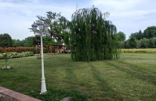 White Room - Photo 13