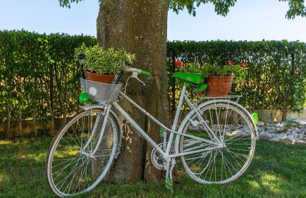 Rustic villa Zvonar with pool in Motovun - Foto 35