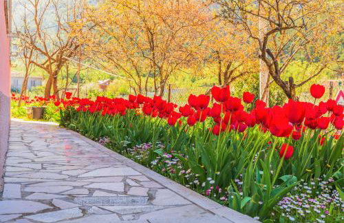 Greenway Apartment Radić - Photo 39