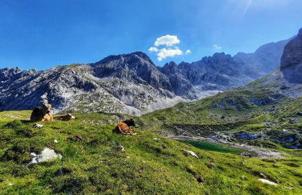 Ferienwohnung Alpspitze - Photo 20