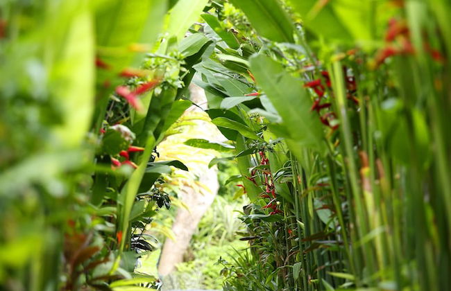 The Kasih Villas & Spa - Foto 76