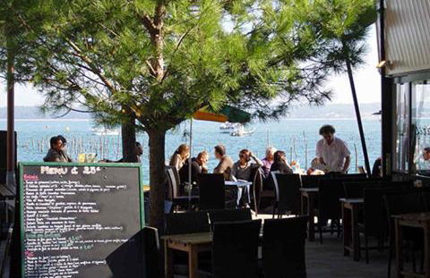 Salamandre et Hippocampe - Foto 37