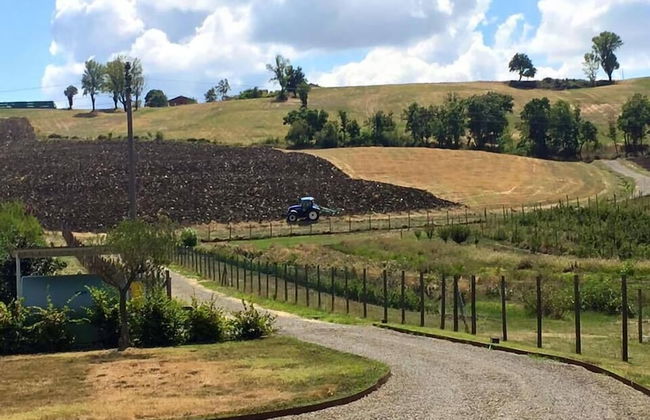 Pianderna Agriwellness - Foto 28