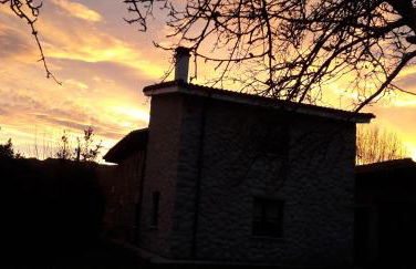 Flor de Pomar - Foto 51