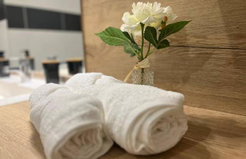 Appartement T2 vue panoramique sur Annecy - Foto 4